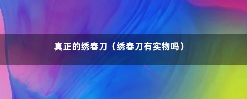 真正的绣春刀（绣春刀有实物吗）