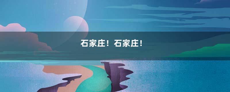 石家庄！石家庄！