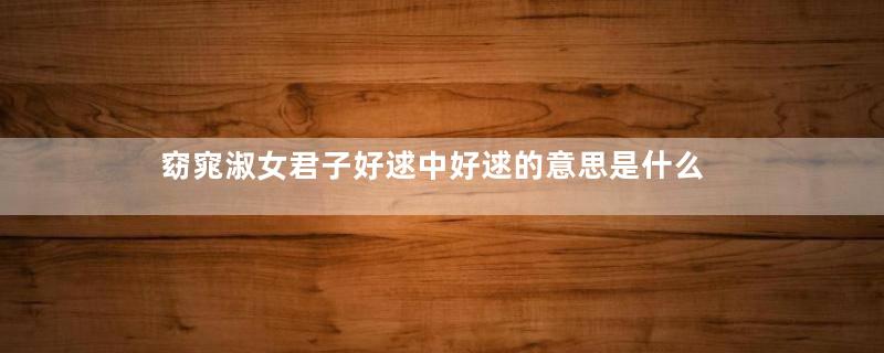 窈窕淑女君子好逑中好逑的意思是什么