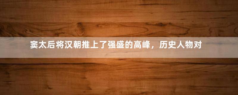 窦太后将汉朝推上了强盛的高峰，历史人物对其有什么评价？