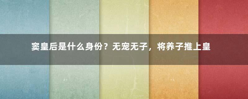 窦皇后是什么身份？无宠无子，将养子推上皇位反被灭族