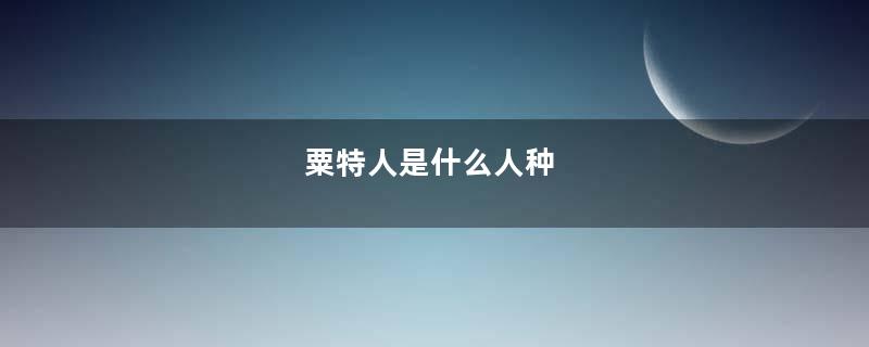 粟特人是什么人种