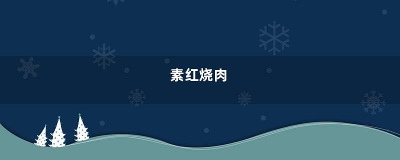 素红烧肉