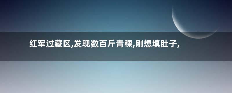 红军过藏区,发现数百斤青稞,刚想填肚子,彭清云喊:放下