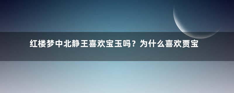 红楼梦中北静王喜欢宝玉吗？为什么喜欢贾宝玉？