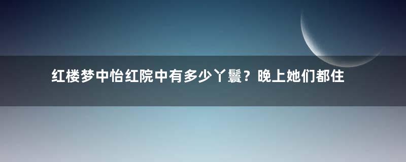 红楼梦中怡红院中有多少丫鬟？晚上她们都住在哪里？