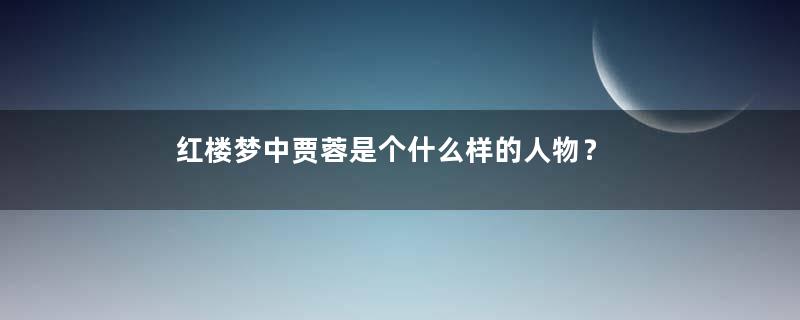 红楼梦中贾蓉是个什么样的人物？