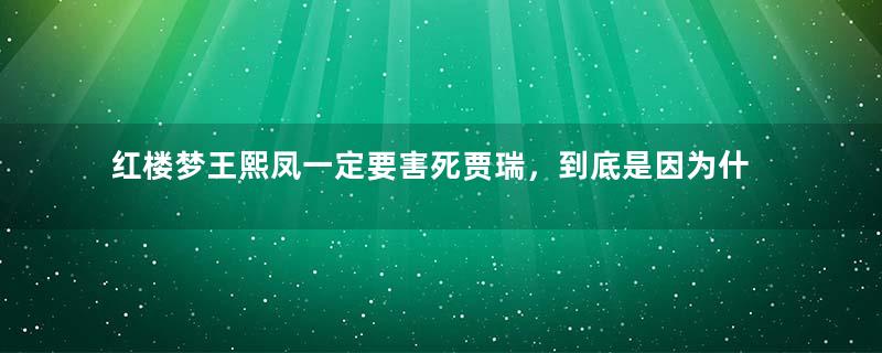 红楼梦王熙凤一定要害死贾瑞，到底是因为什么