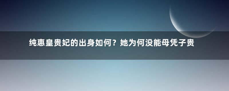 纯惠皇贵妃的出身如何？她为何没能母凭子贵？