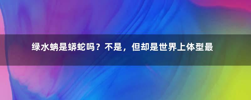 绿水蚺是蟒蛇吗？不是，但却是世界上体型最大的蛇类