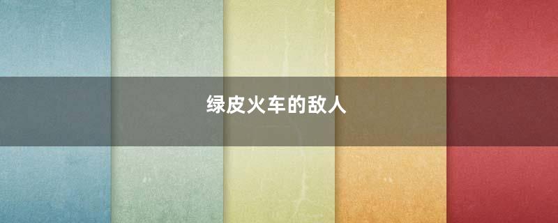 绿皮火车的敌人