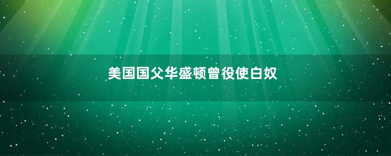 美国国父华盛顿曾役使白奴