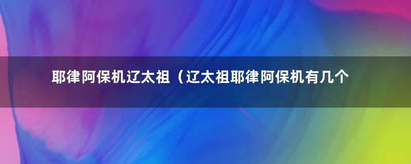 耶律阿保机辽太祖（辽太祖耶律阿保机有几个儿子）