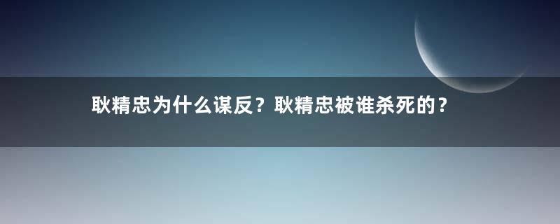 耿精忠为什么谋反？耿精忠被谁杀死的？