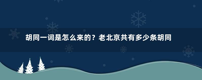 胡同一词是怎么来的？老北京共有多少条胡同？