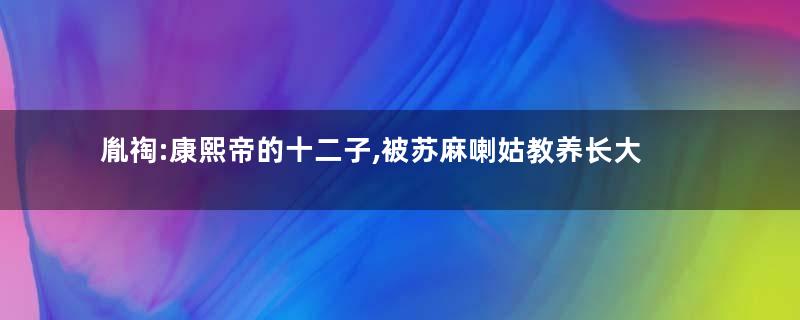胤祹:康熙帝的十二子,被苏麻喇姑教养长大