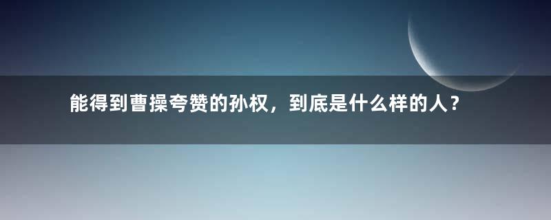 能得到曹操夸赞的孙权，到底是什么样的人？