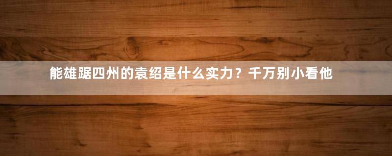 能雄踞四州的袁绍是什么实力？千万别小看他