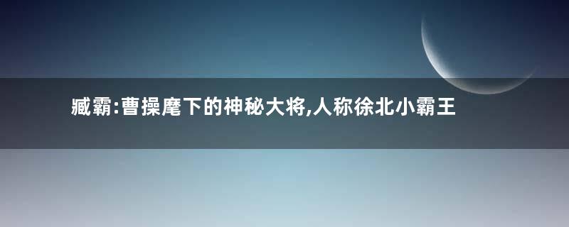 臧霸:曹操麾下的神秘大将,人称徐北小霸王