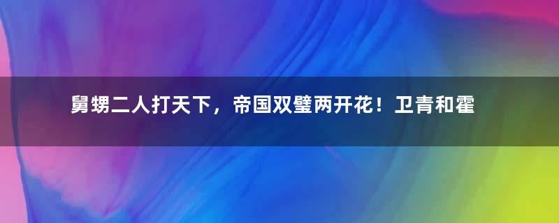 舅甥二人打天下，帝国双璧两开花！卫青和霍去病生在汉朝是上天注定的！