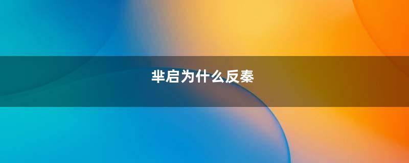 芈启为什么反秦