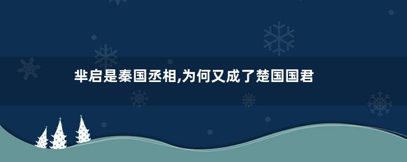 芈启是秦国丞相,为何又成了楚国国君