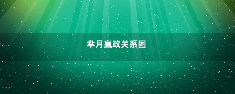 芈月嬴政关系图