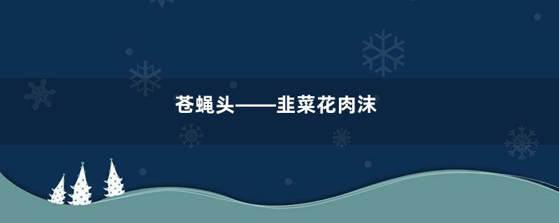 苍蝇头——韭菜花肉沫