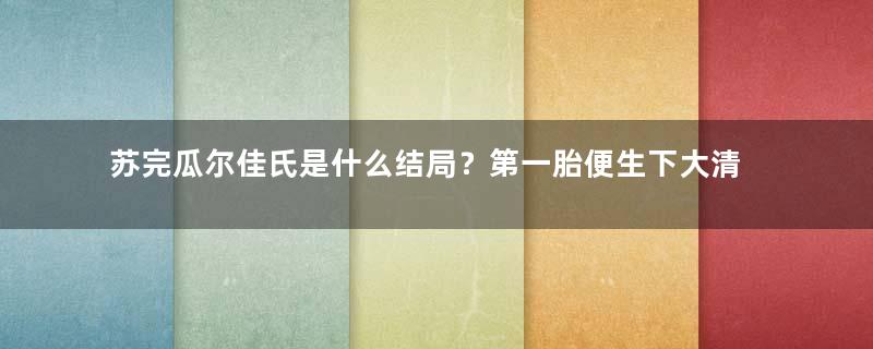苏完瓜尔佳氏是什么结局？第一胎便生下大清皇帝