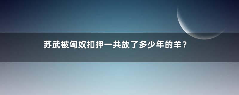 苏武被匈奴扣押一共放了多少年的羊？