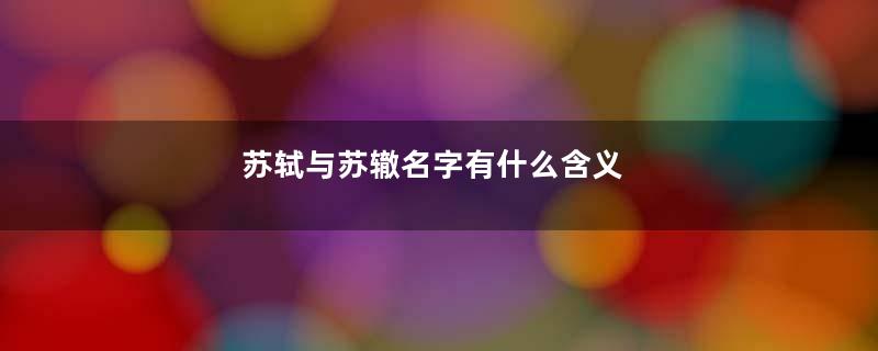 苏轼与苏辙名字有什么含义