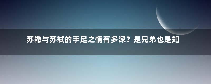 苏辙与苏轼的手足之情有多深？是兄弟也是知己