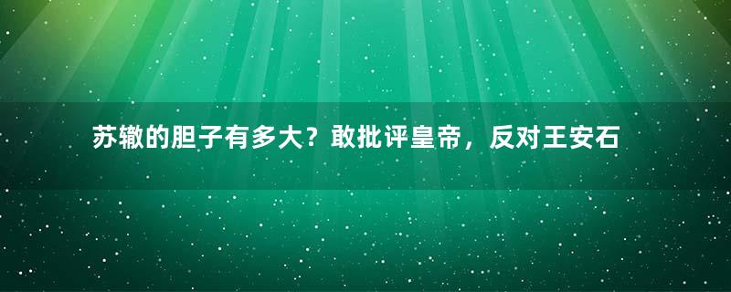 苏辙的胆子有多大？敢批评皇帝，反对王安石变法