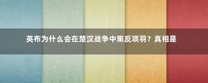 英布为什么会在楚汉战争中策反项羽？真相是什么