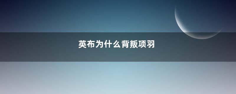 英布为什么背叛项羽