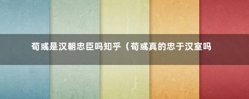 荀彧是汉朝忠臣吗知乎（荀彧真的忠于汉室吗）