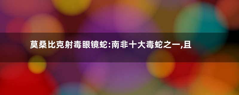 莫桑比克射毒眼镜蛇:南非十大毒蛇之一,且毒性非常强