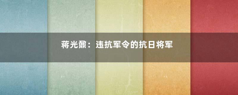 蒋光鼐：违抗军令的抗日将军