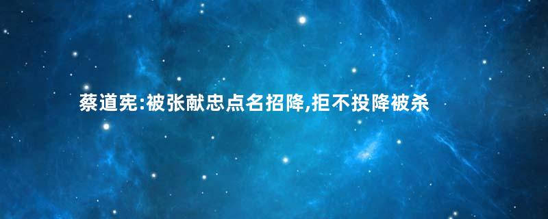蔡道宪:被张献忠点名招降,拒不投降被杀
