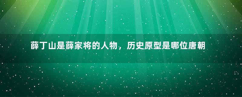 薛丁山是薛家将的人物，历史原型是哪位唐朝名将的儿子？