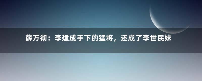 薛万彻：李建成手下的猛将，还成了李世民妹夫