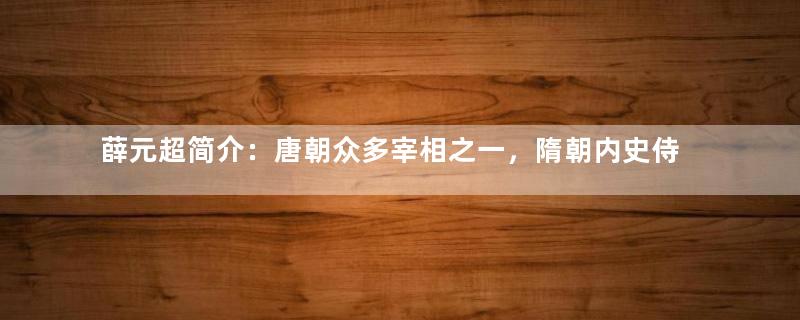 薛元超简介：唐朝众多宰相之一，隋朝内史侍郎薛道衡之孙