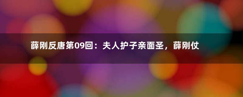 薛刚反唐第09回：夫人护子亲面圣，薛刚仗义救冤人