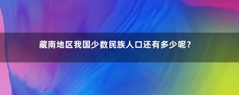 藏南地区我国少数民族人口还有多少呢？