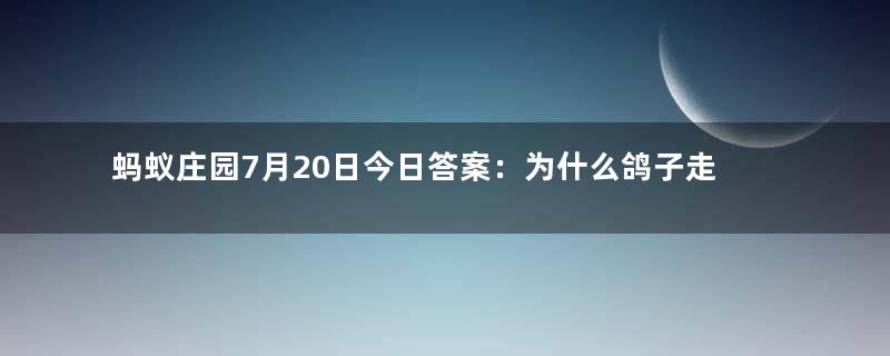 蚂蚁庄园7月20日今日答案：为什么鸽子走起路来总在点头？答案