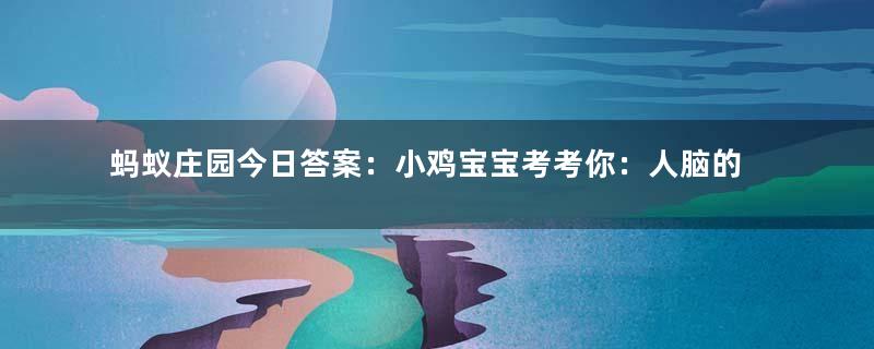 蚂蚁庄园今日答案：小鸡宝宝考考你：人脑的哪部分负责保持躯体平衡？