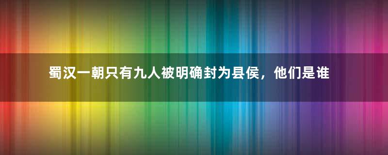 蜀汉一朝只有九人被明确封为县侯，他们是谁？