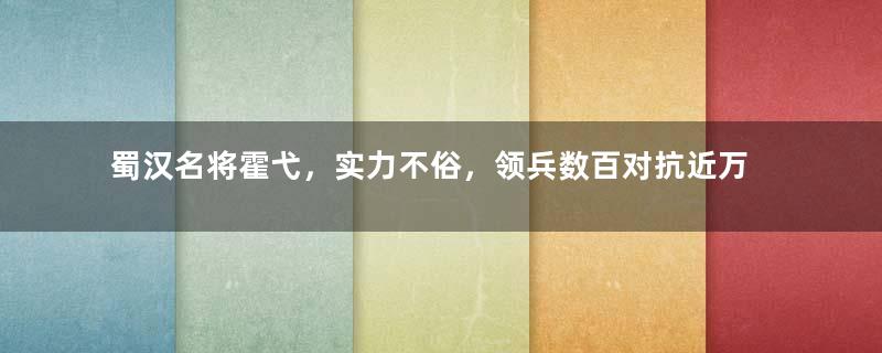 蜀汉名将霍弋，实力不俗，领兵数百对抗近万敌兵