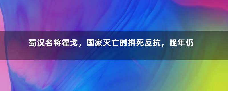 蜀汉名将霍戈，国家灭亡时拼死反抗，晚年仍扬名立万