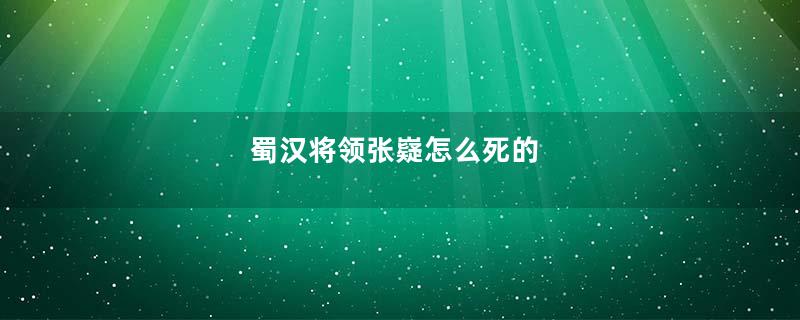 蜀汉将领张嶷怎么死的